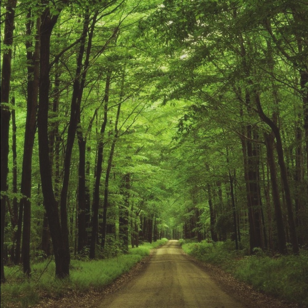 PURSE + GLASSES 👜